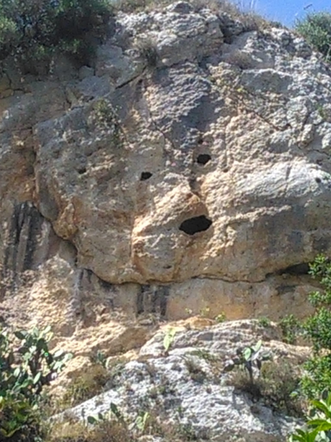 Bocca della verità copy